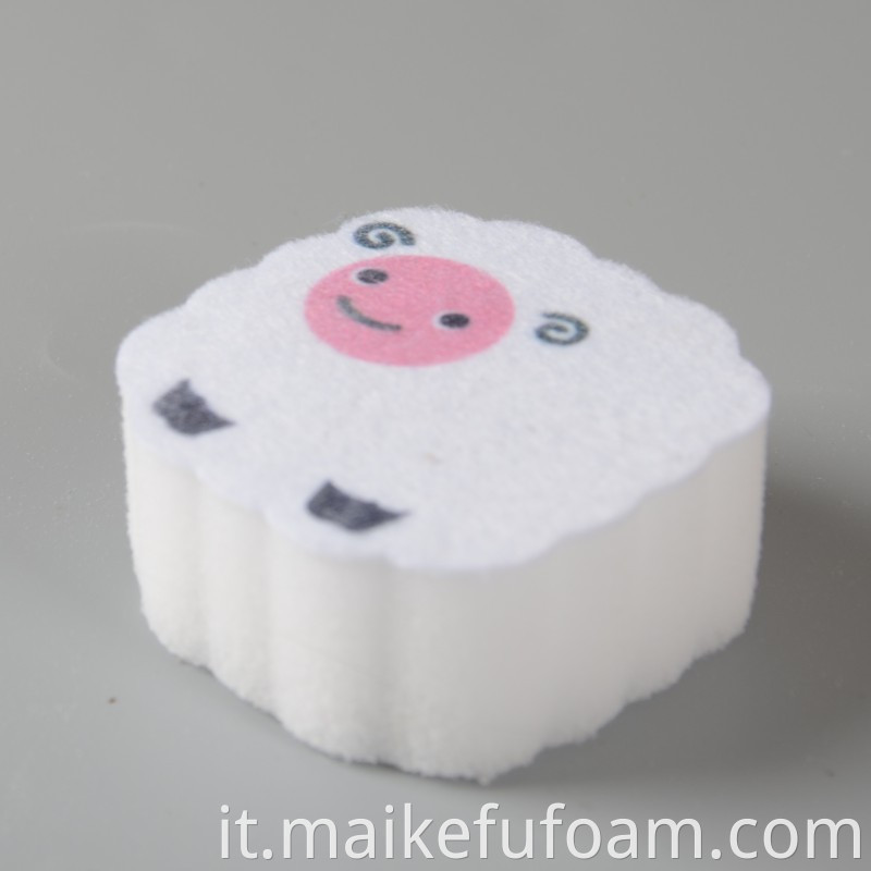 Printed Magic Sponge